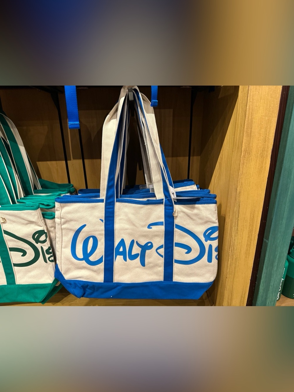 Disney parks Tote Wdw 2026